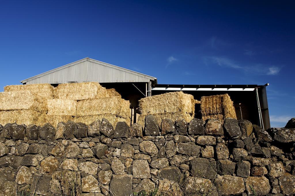 Lakes And Craters Holiday Park Camperdown Exterior foto