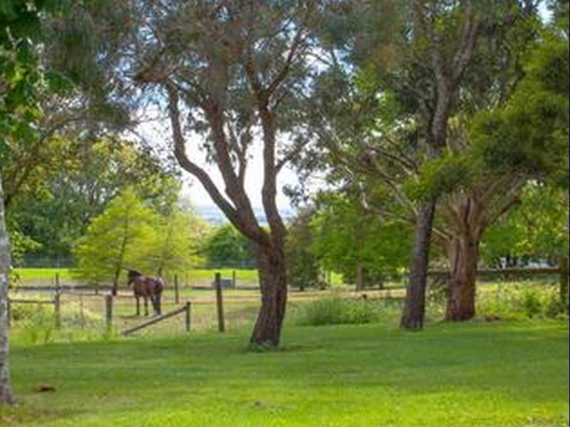 Lakes And Craters Holiday Park Camperdown Exterior foto